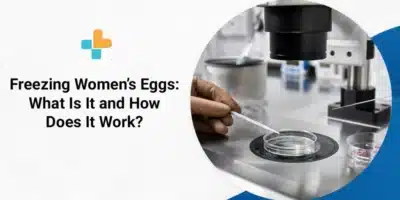 freezing women's egg