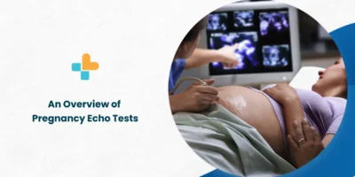 An-Overview-of-Pregnancy-Echo-Tests