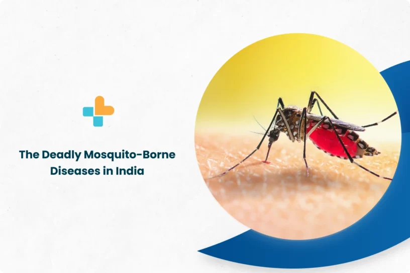 The-Deadly-Mosquito-Borne-Diseases-in-India