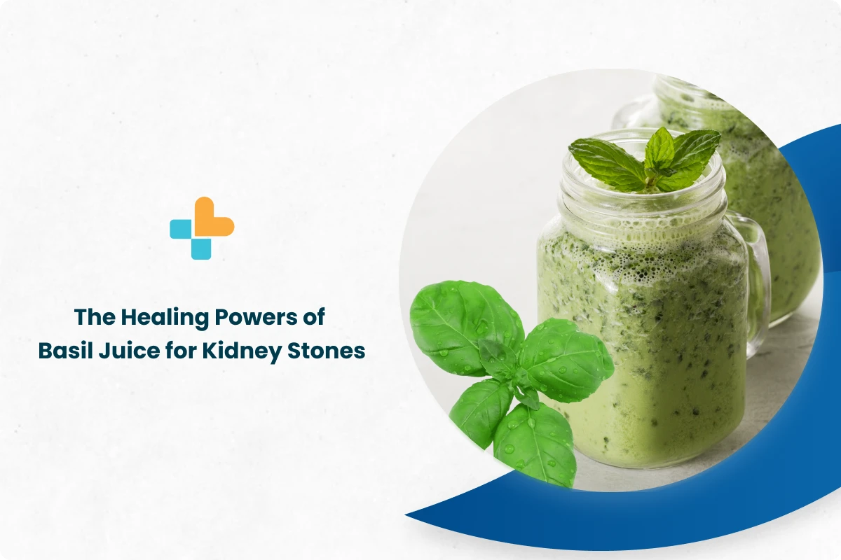 The Healing Powers Of Basil Juice For Kidney Stones Ayu Health