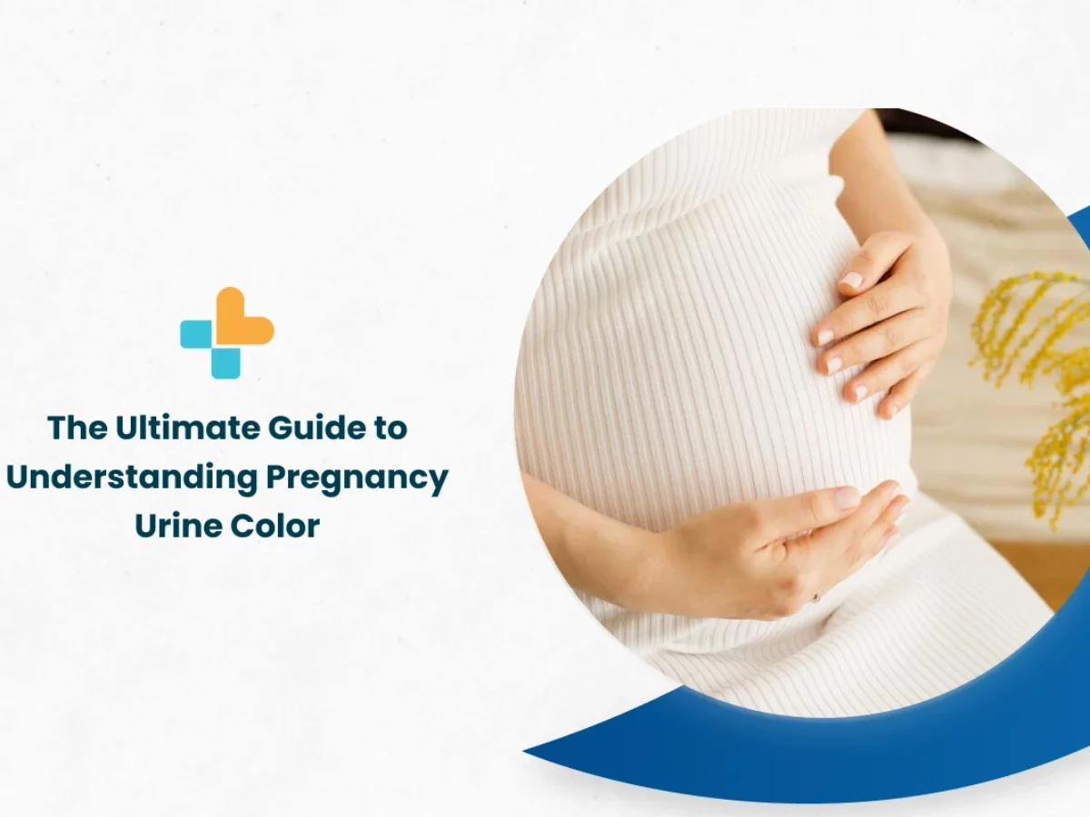 Early Pregnancy Urine Color Change English 
