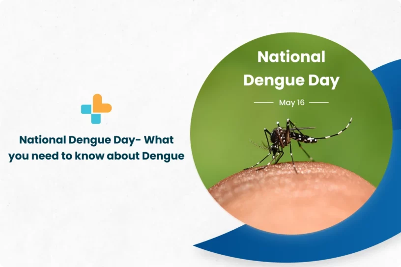National-Dengue-Day